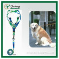 Heat transfer dog collar and leash
